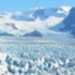 tripadvisor dan401