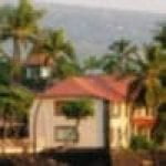 tripadvisor sarah l